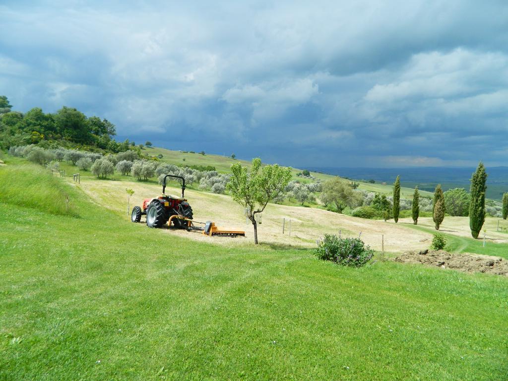Le Rogheta Villa Campiglia dʼOrcia Dış mekan fotoğraf