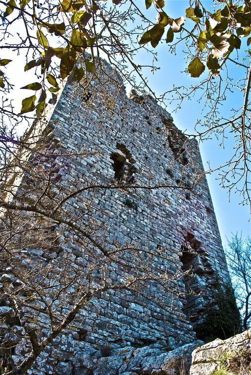 Le Rogheta Villa Campiglia dʼOrcia Dış mekan fotoğraf
