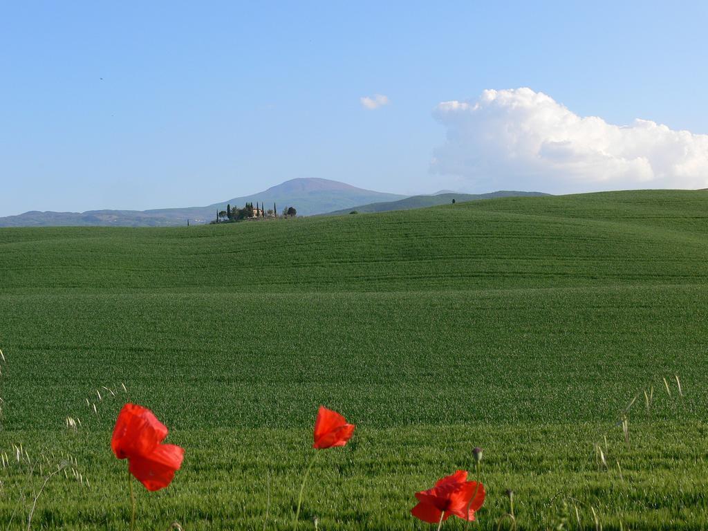 Le Rogheta Villa Campiglia dʼOrcia Dış mekan fotoğraf