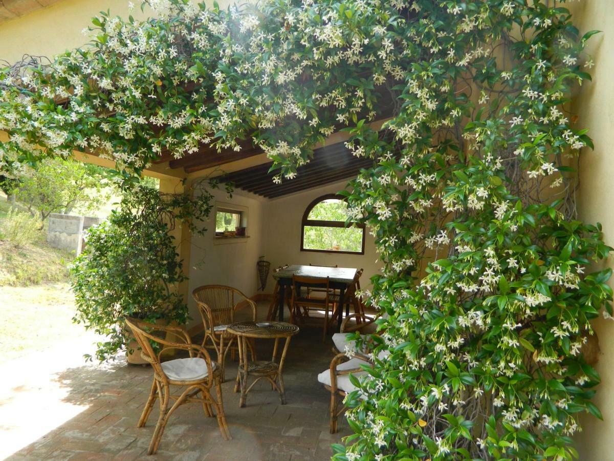 Le Rogheta Villa Campiglia dʼOrcia Dış mekan fotoğraf